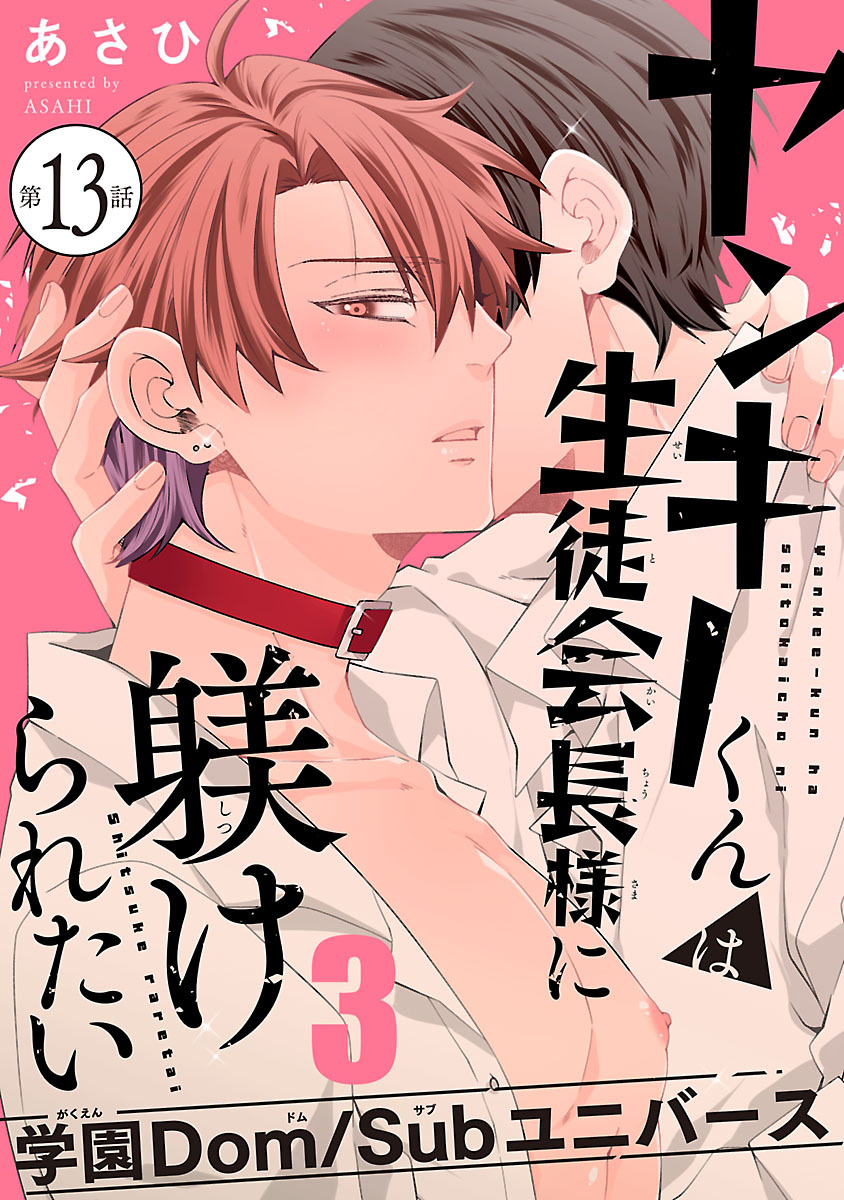 ヤンキーくんは生徒会長様に躾けられたい