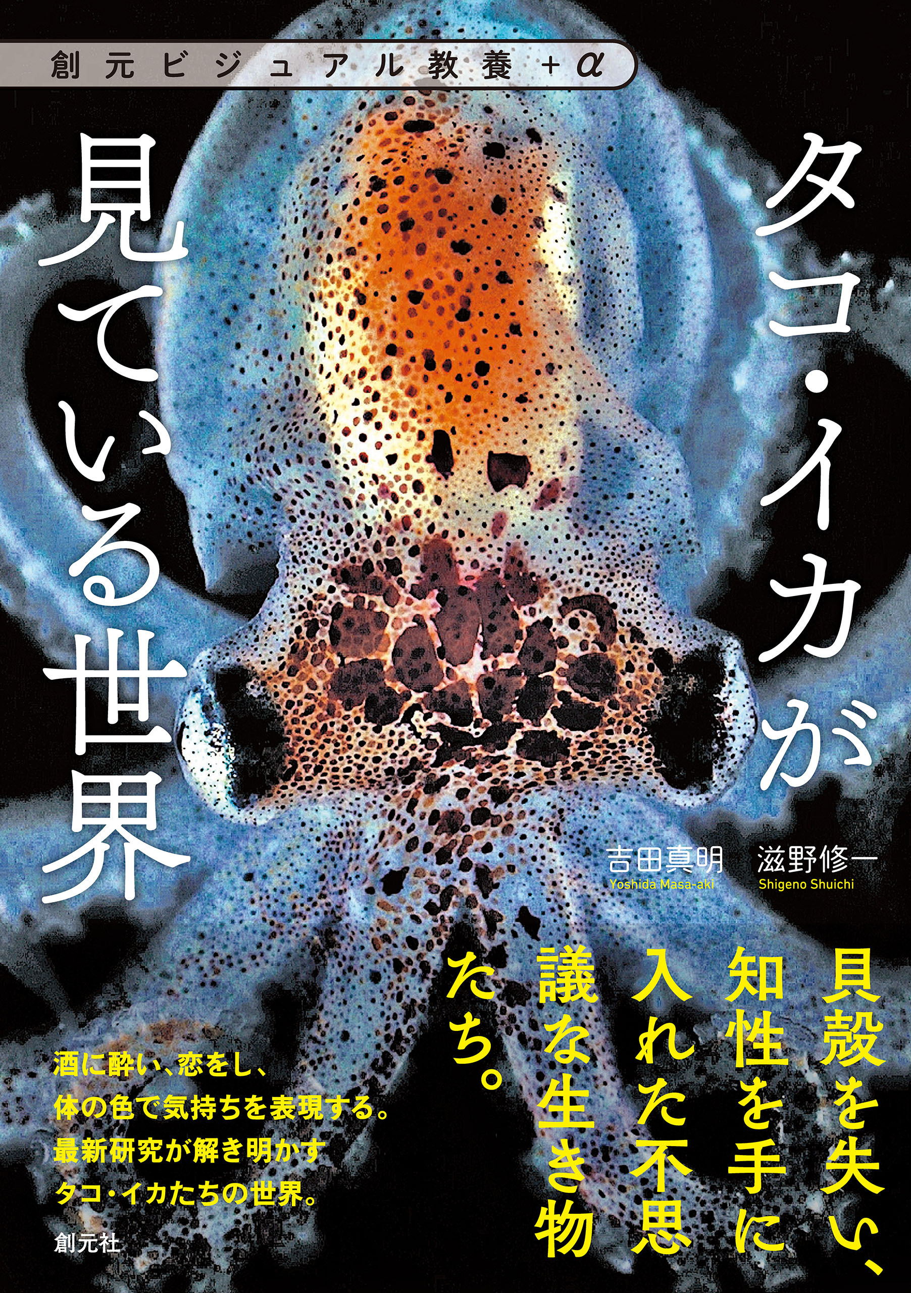 タコ・イカが見ている世界