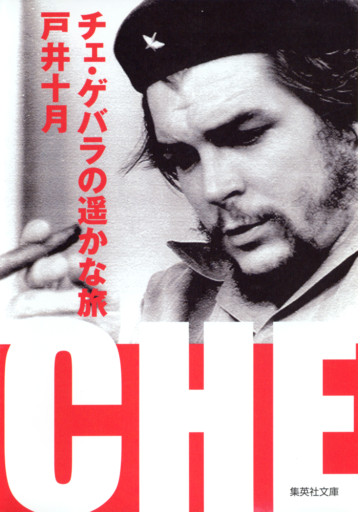 チェ・ゲバラの遥かな旅