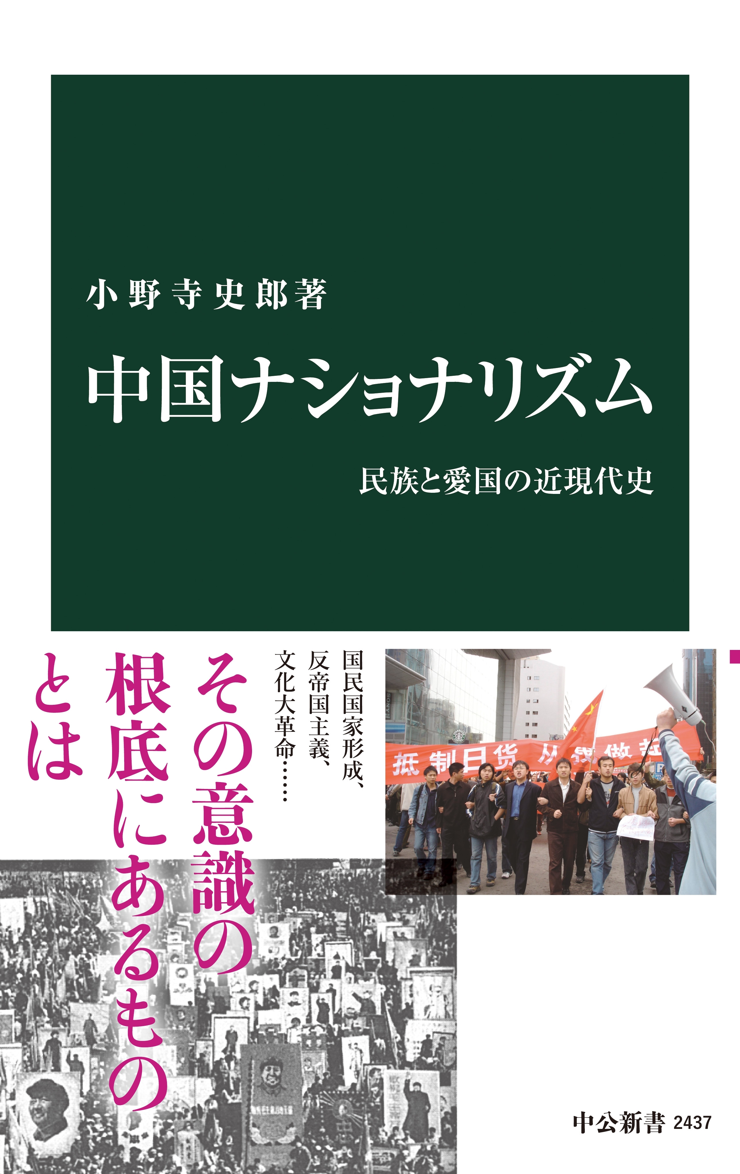 中国ナショナリズム　民族と愛国の近現代史