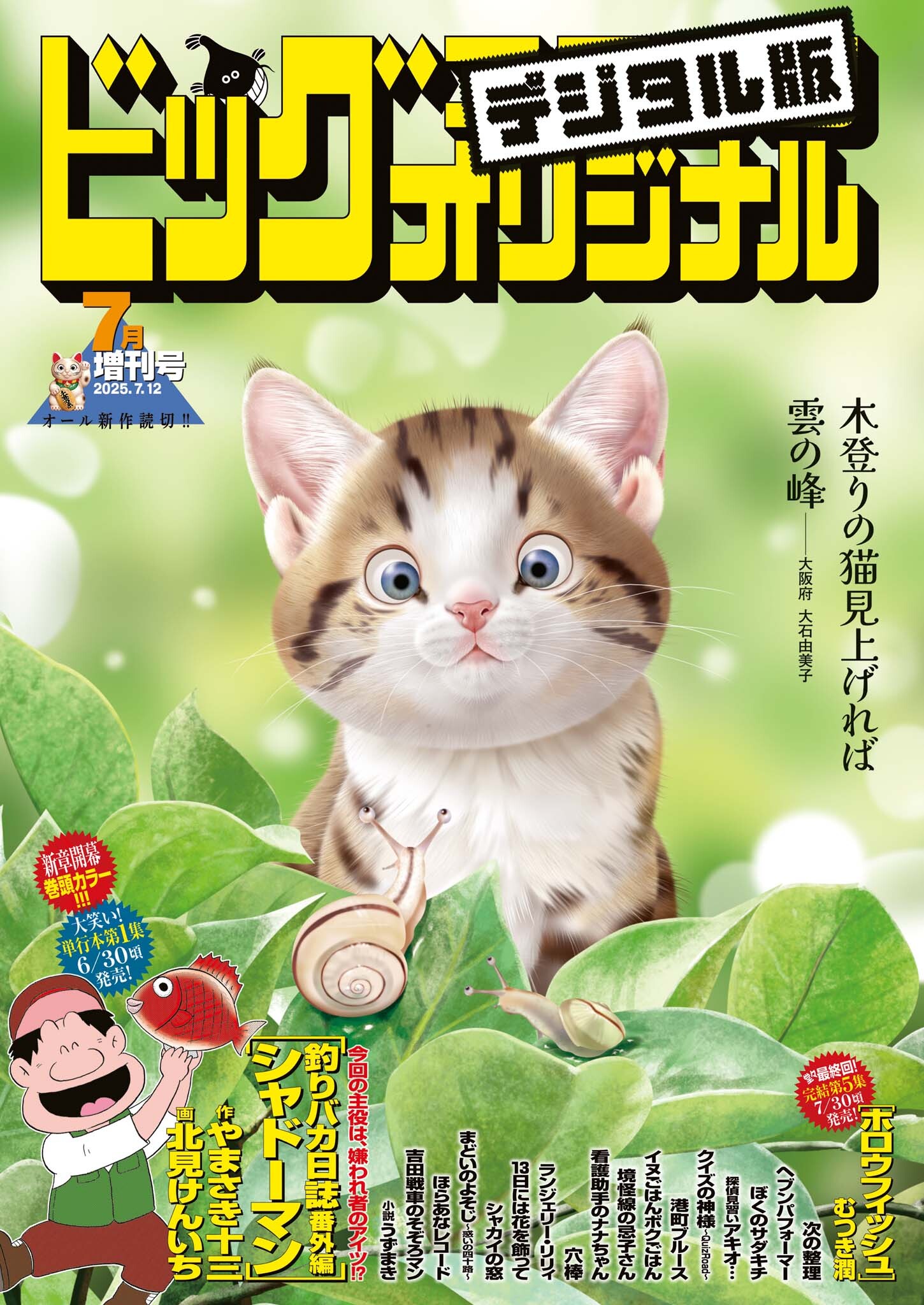 ビッグコミックオリジナル増刊　2025年7月増刊号（2025年6月12日発売）