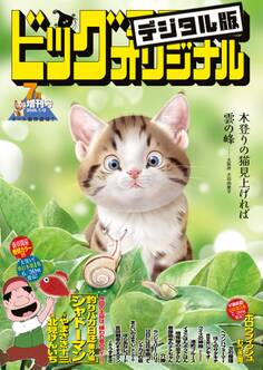 ビッグコミックオリジナル増刊 2025年7月増刊号(2025年6月12日発売)