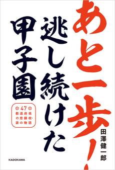 あと一歩!逃し続けた甲子園 47都道府県の悲願校・涙の物語