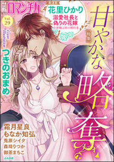 禁断LoversロマンチカVol.029甘やかな略奪