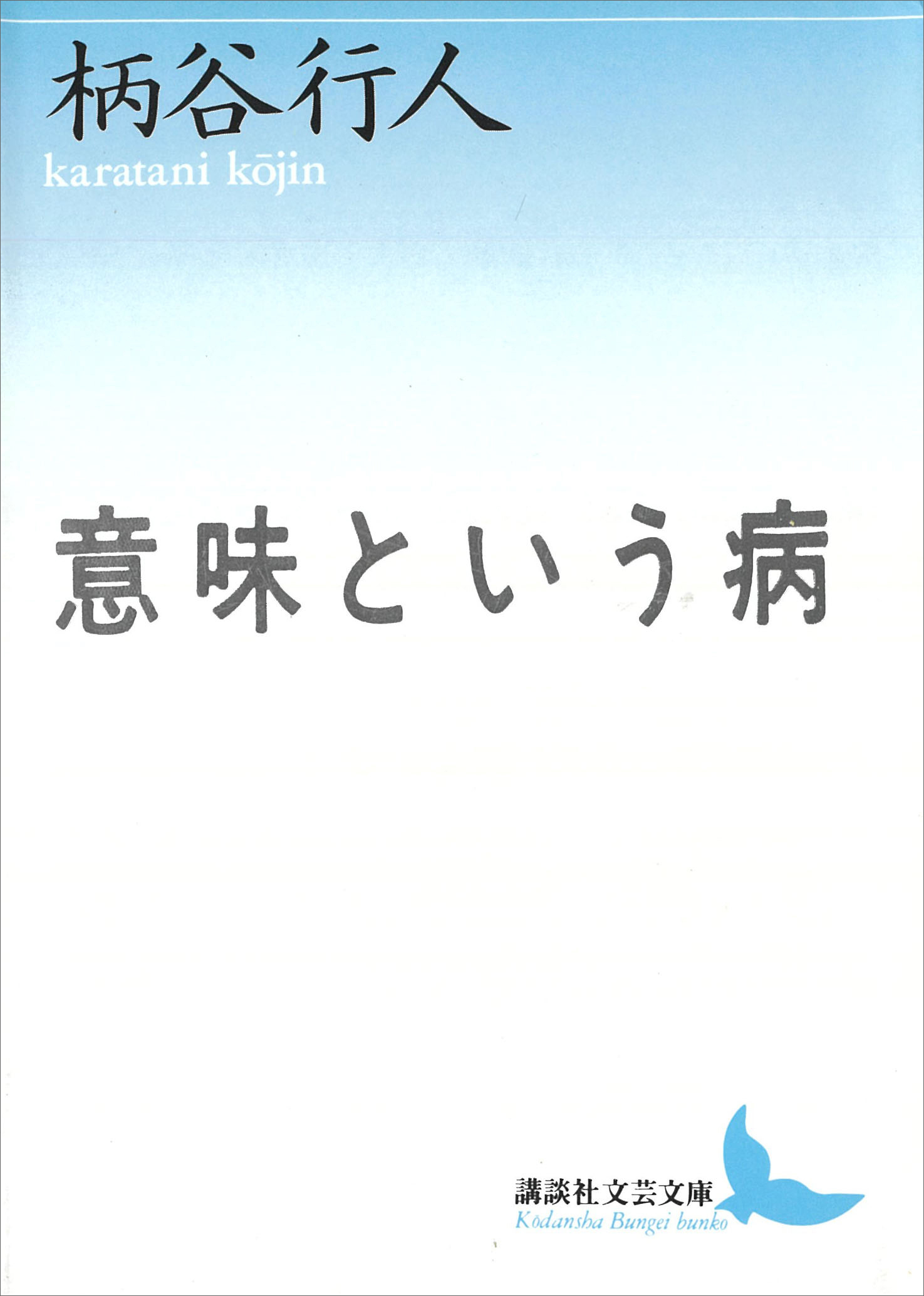 意味という病