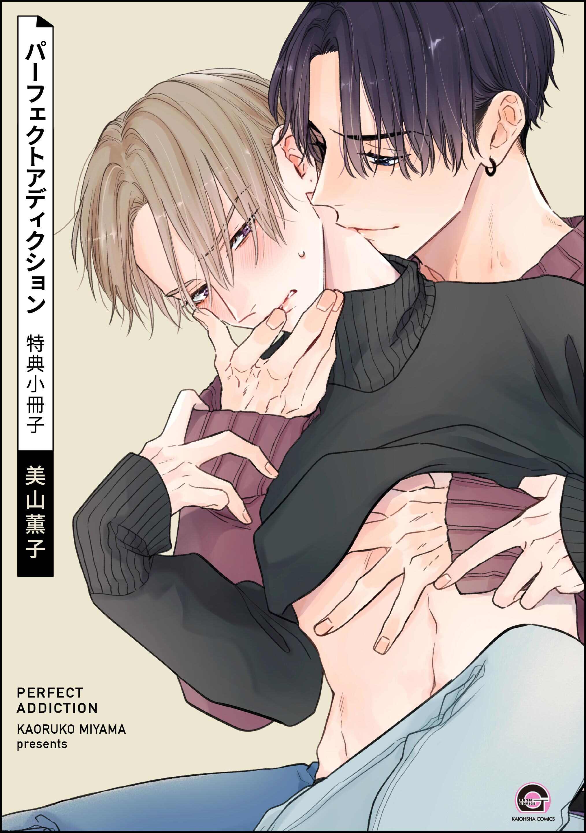 パーフェクトアディクション 特典小冊子