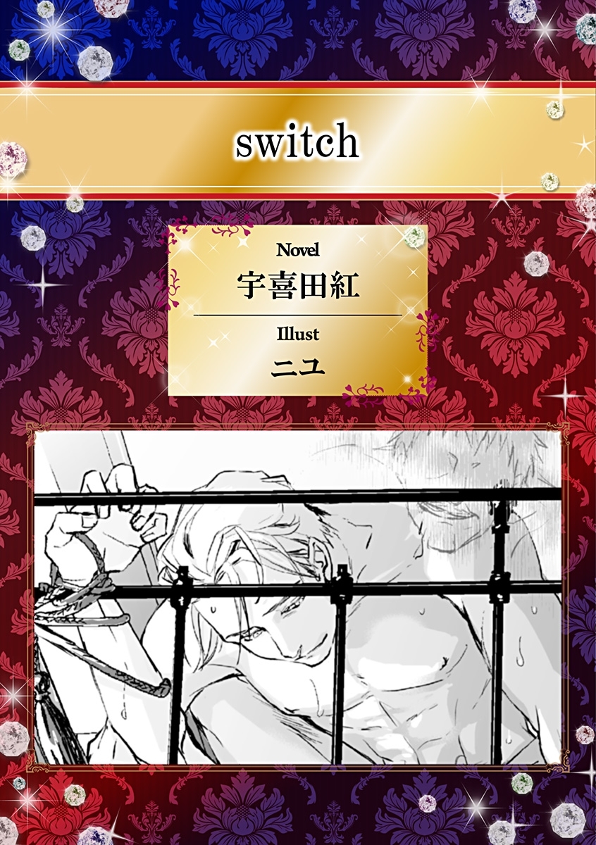 switch【イラスト入り】