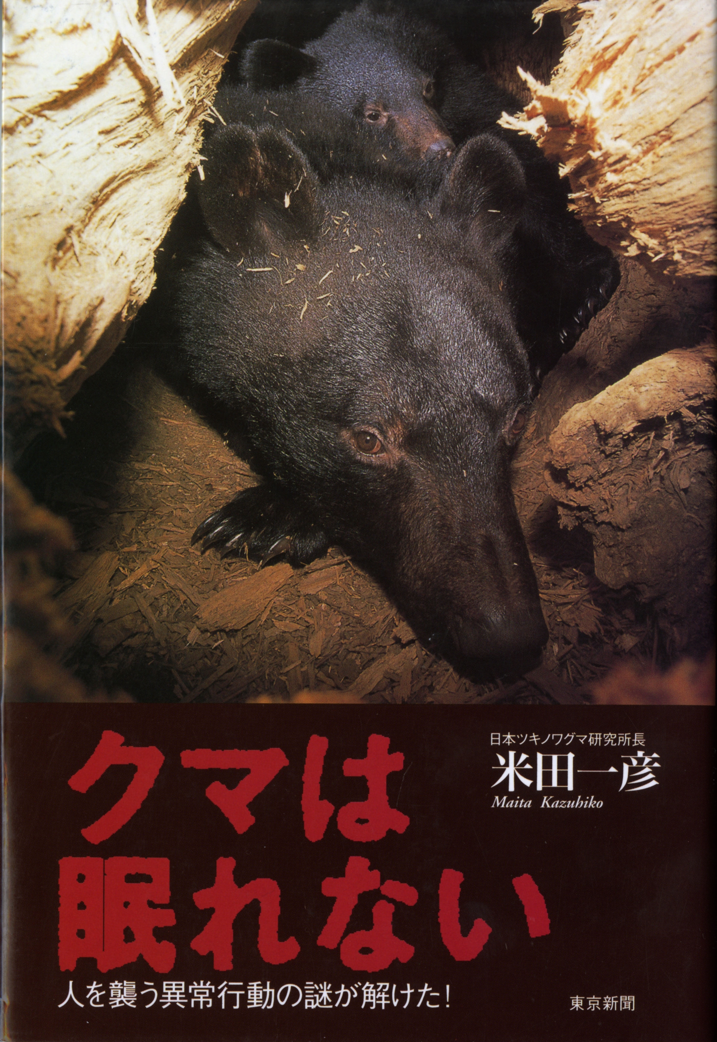 クマは眠れない