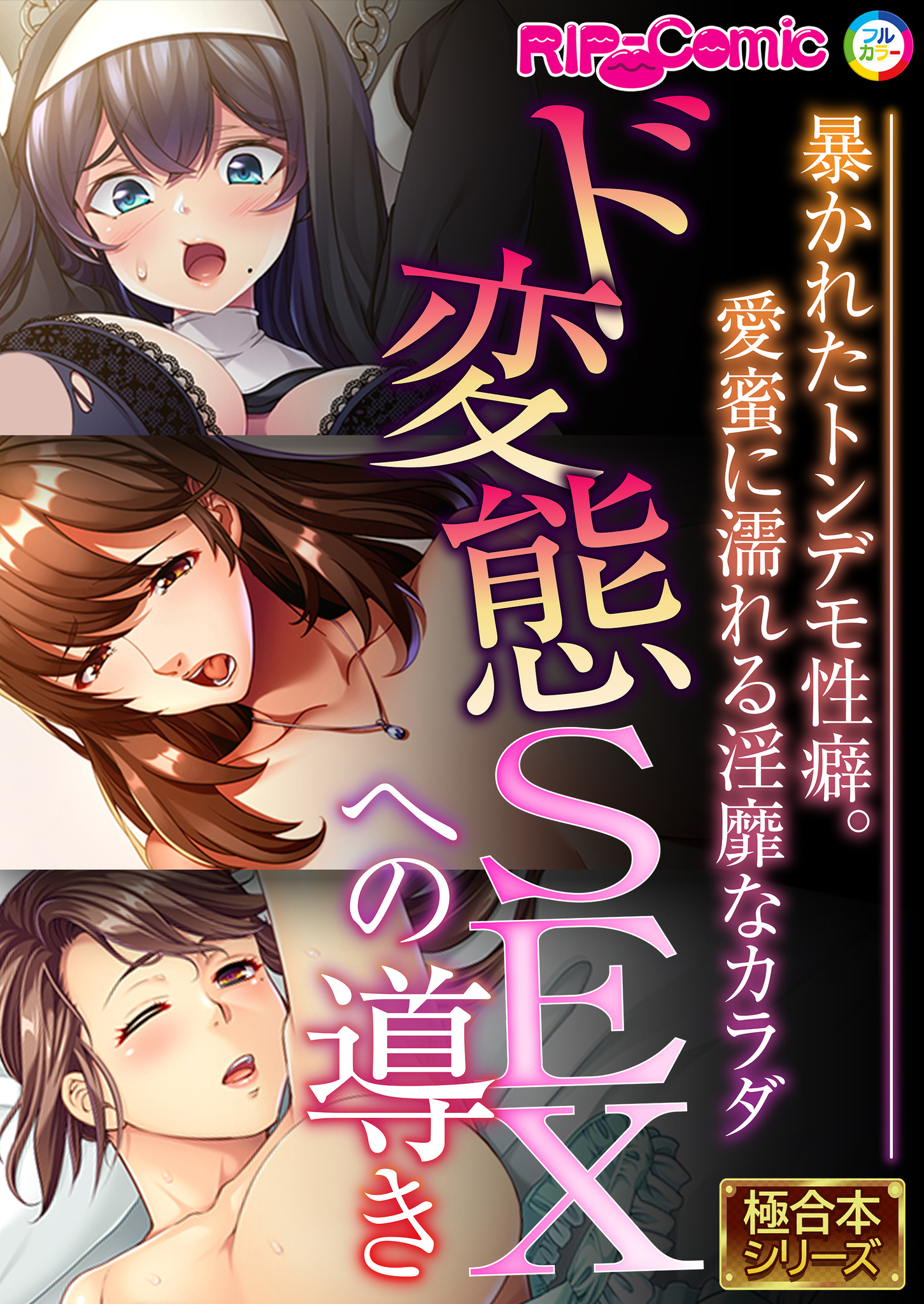 ド変態SEXへの導き ～暴かれたトンデモ性癖。愛蜜に濡れる淫靡なカラダ～【極合本シリーズ】