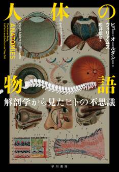 人体の物語 解剖学から見たヒトの不思議