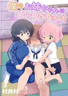 僕のお姉ちゃんはムッツリスケベ!!(3)