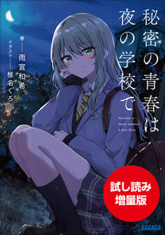 秘密の青春は夜の学校で