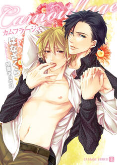 カムフラージュ 特別版