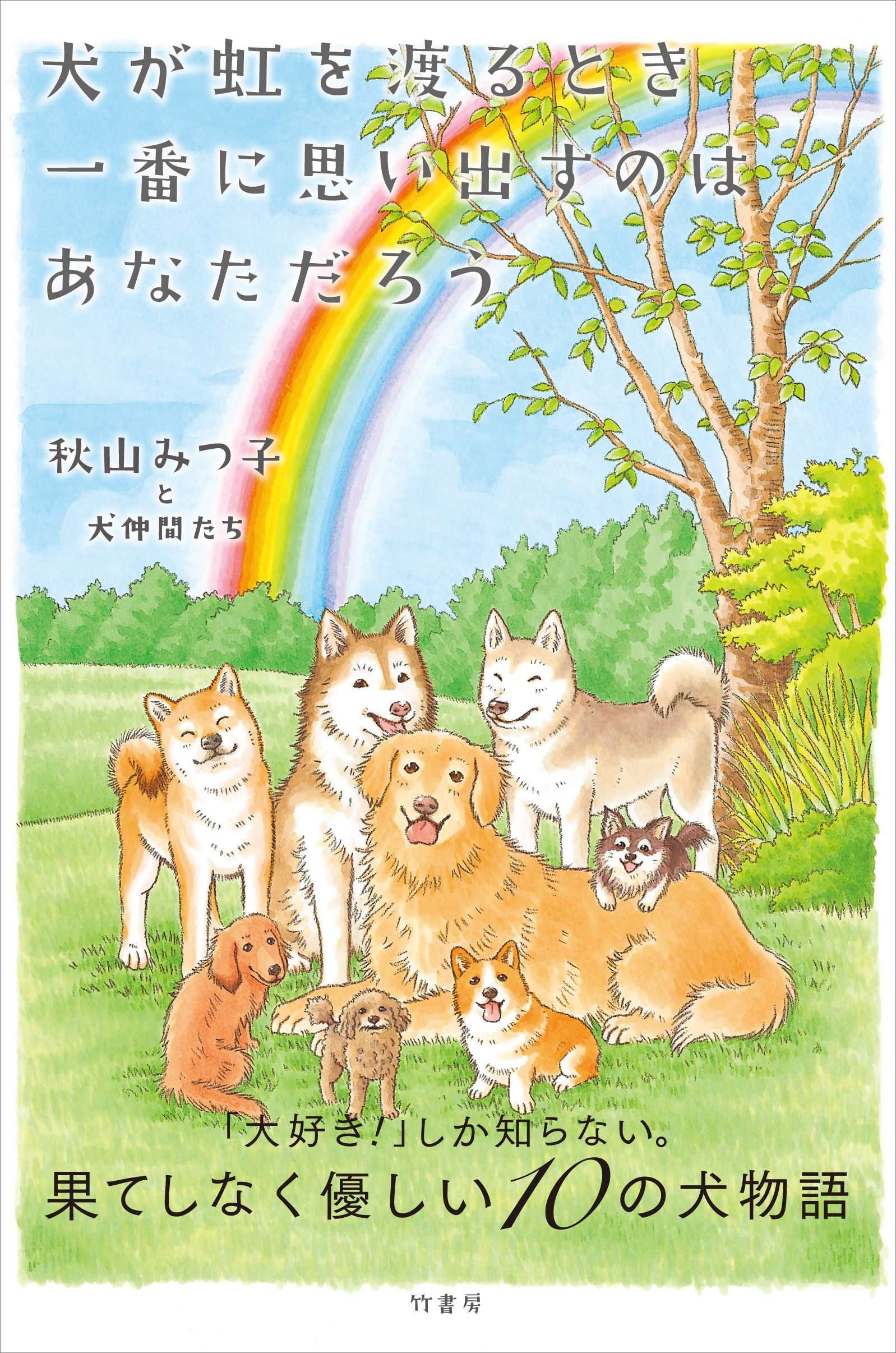 犬が虹を渡るとき一番に思い出すのは あなただろう