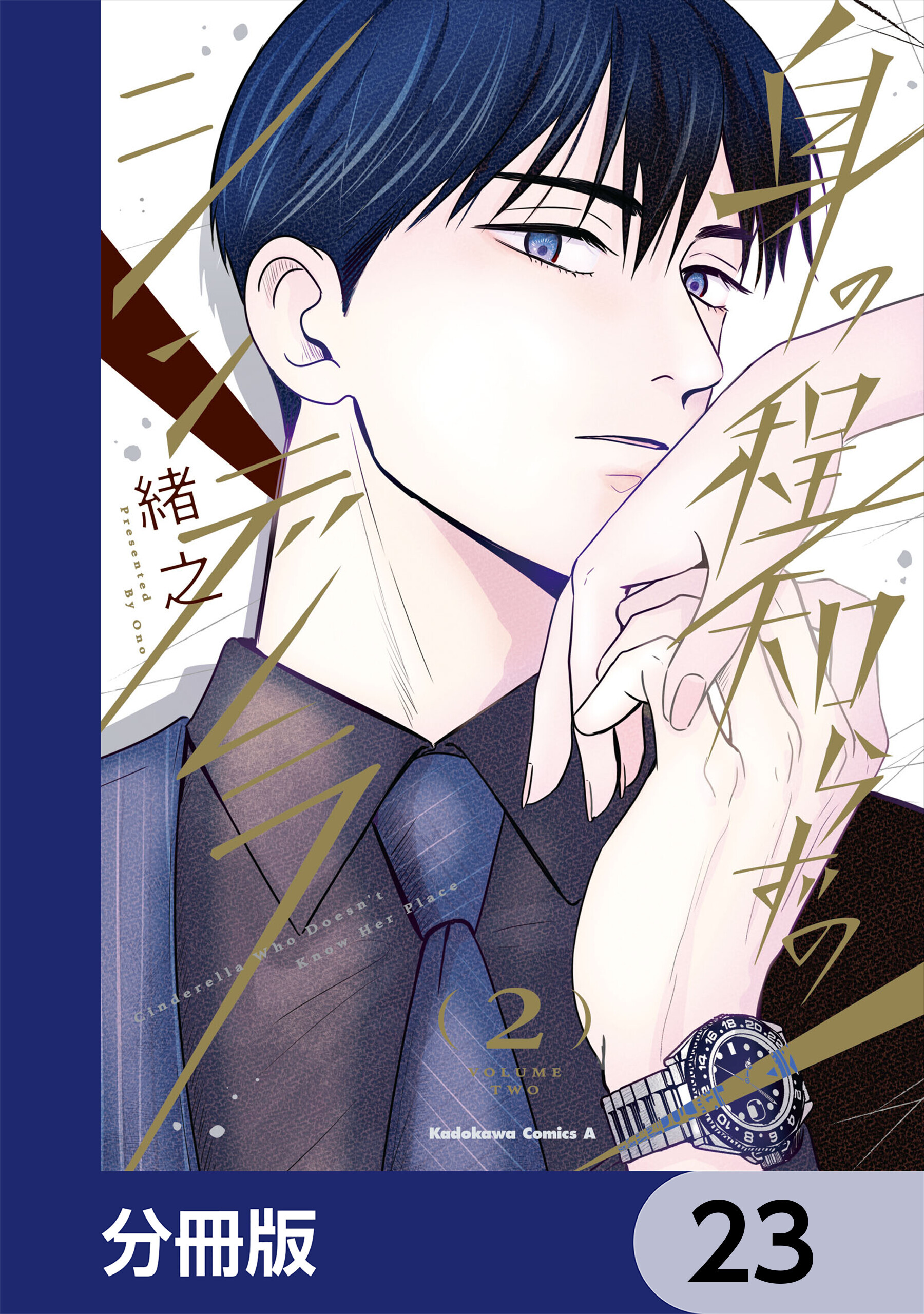 身の程知らずのシンデレラ【分冊版】
