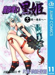 魔砲使い黒姫 11