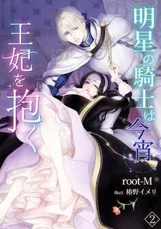 明星の騎士は今宵王妃を抱く(2)