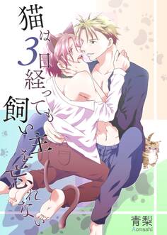 猫は3日経っても飼い主を忘れない