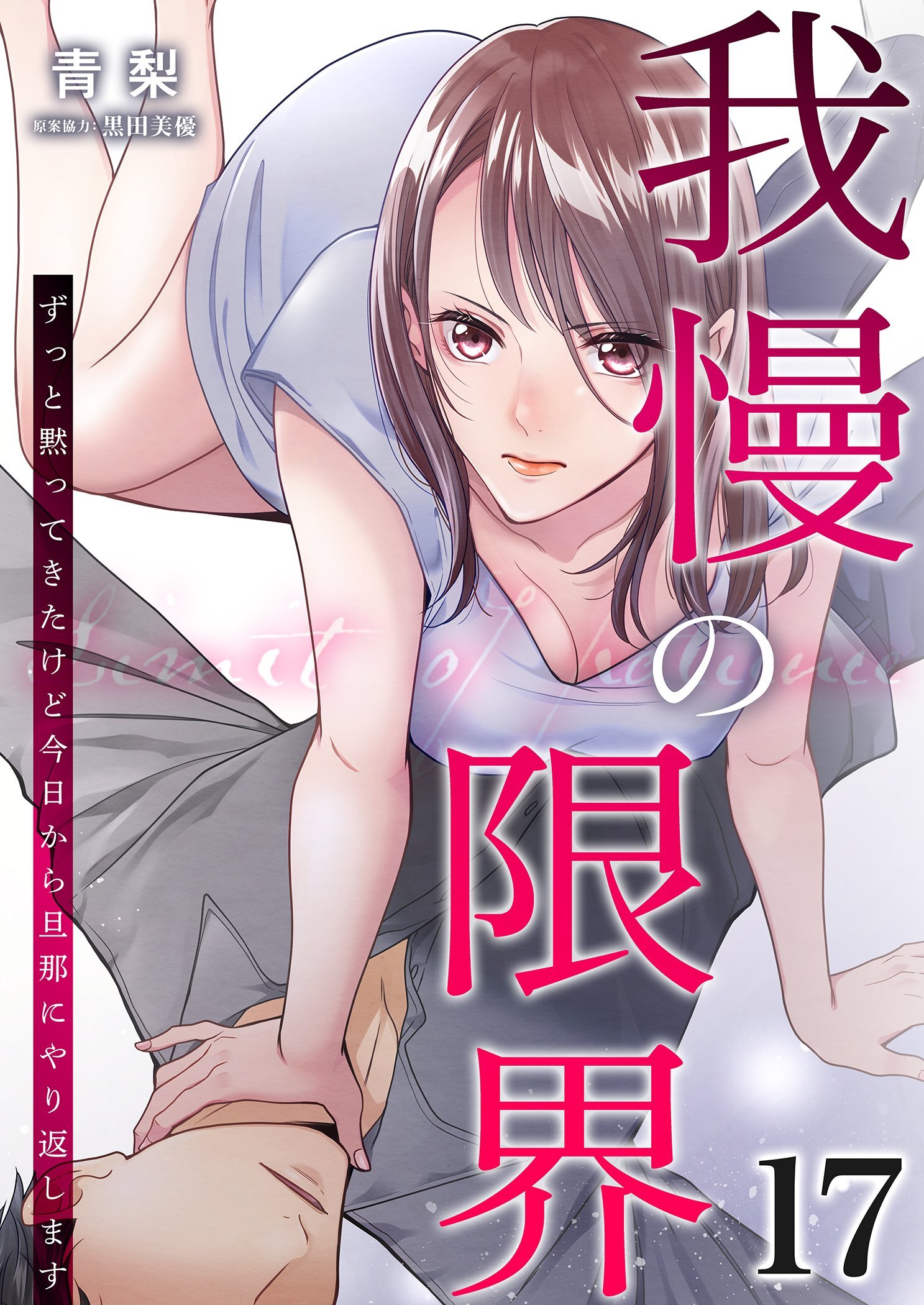 我慢の限界～ずっと黙ってきたけど今日から旦那にやり返します～ 17
