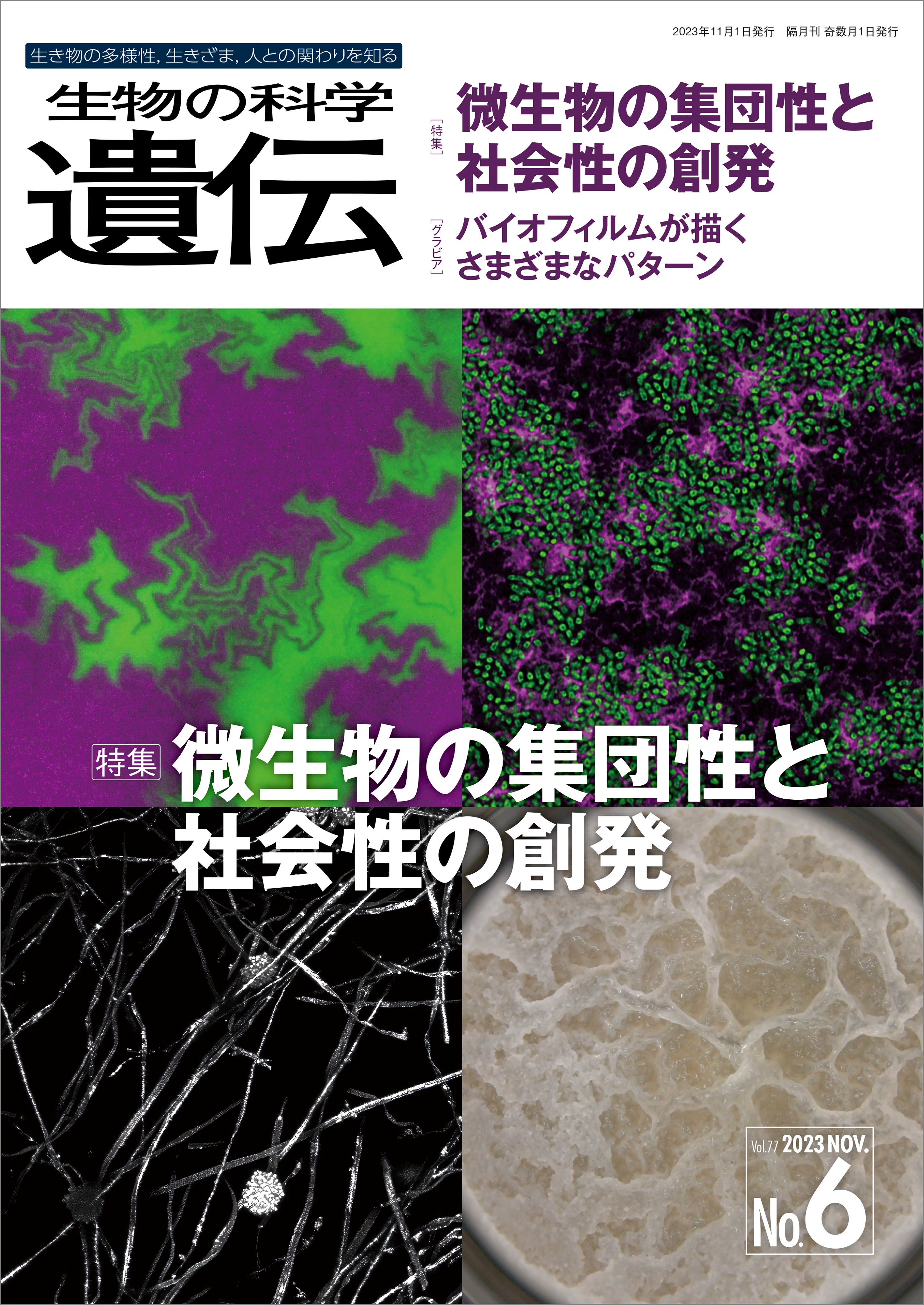 生物の科学 遺伝 2023年11月発行号 Vol.77 No.6
