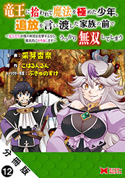 竜王に拾われて魔法を極めた少年、追放を言い渡した家族の前でうっかり無双してしまう～兄上たちが僕の仲間を攻撃するなら、徹底的にやり返します～（コミック） 分冊版 ： 12