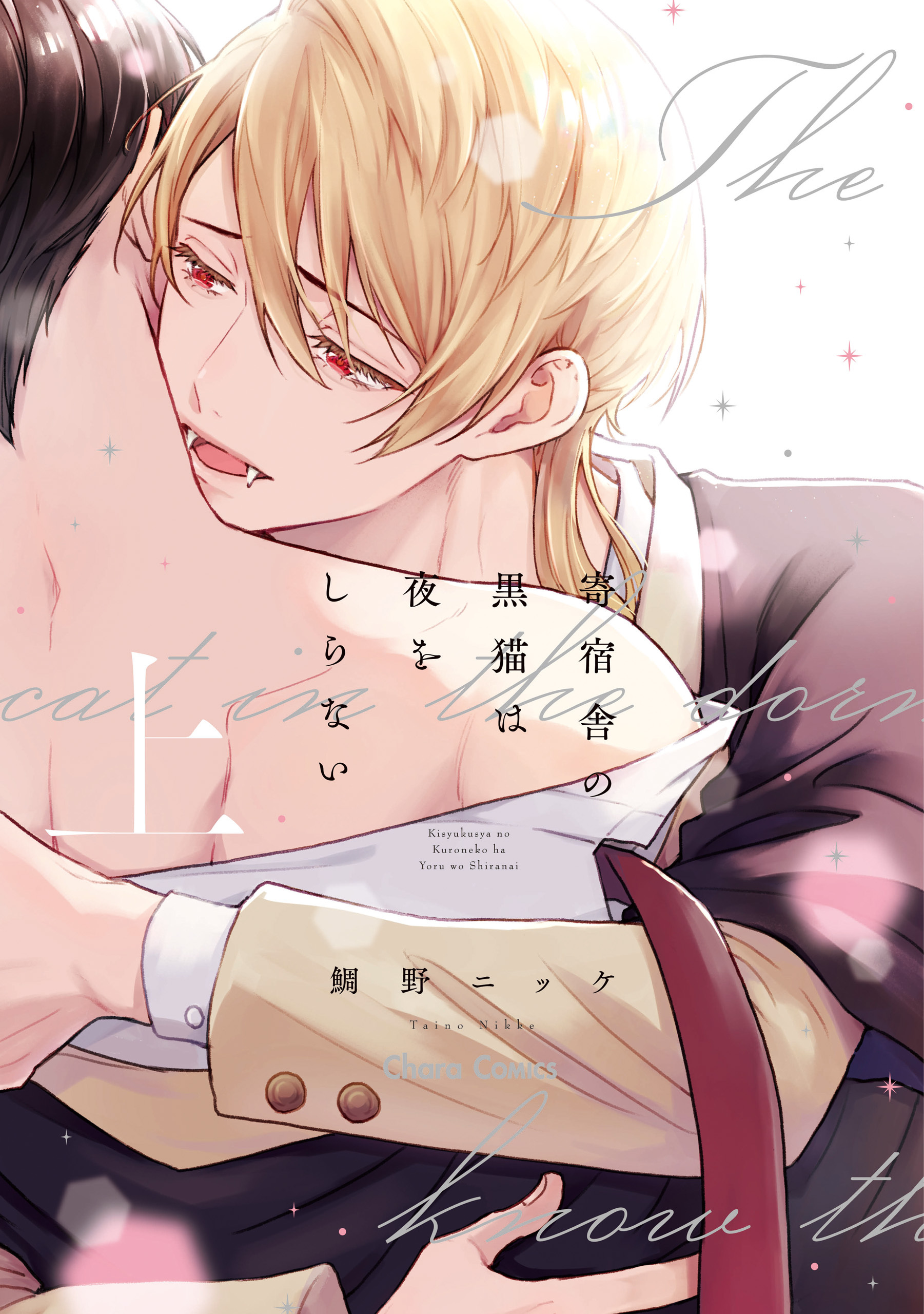 寄宿舎の黒猫は夜をしらない（上）