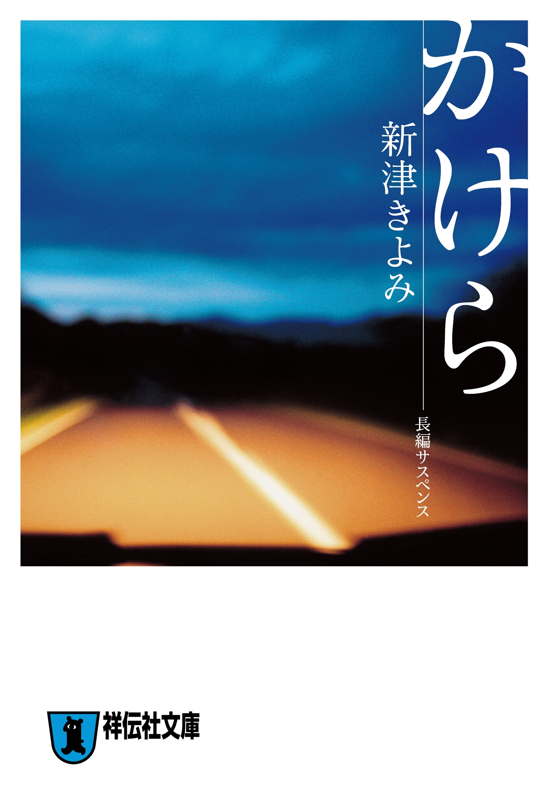 新津きよみのサイコホラー