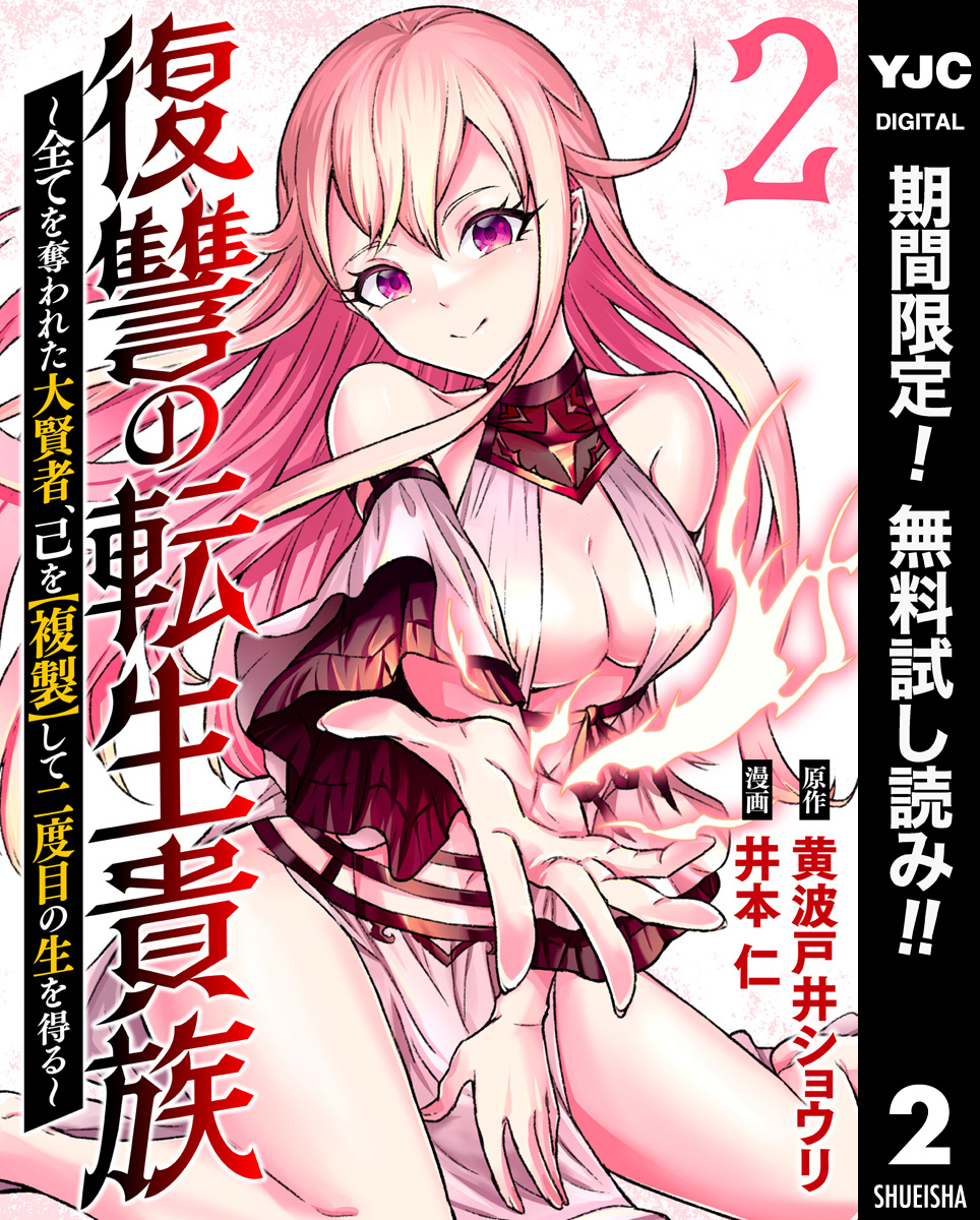 復讐の転生貴族～全てを奪われた大賢者、己を【複製】して二度目の生を得る～【期間限定無料】 2