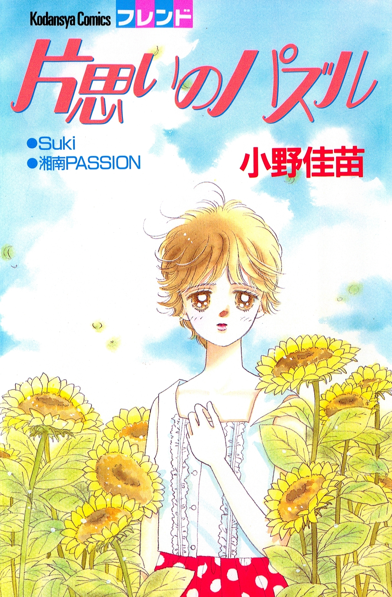 片思いのパズル