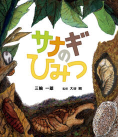 サナギのひみつ