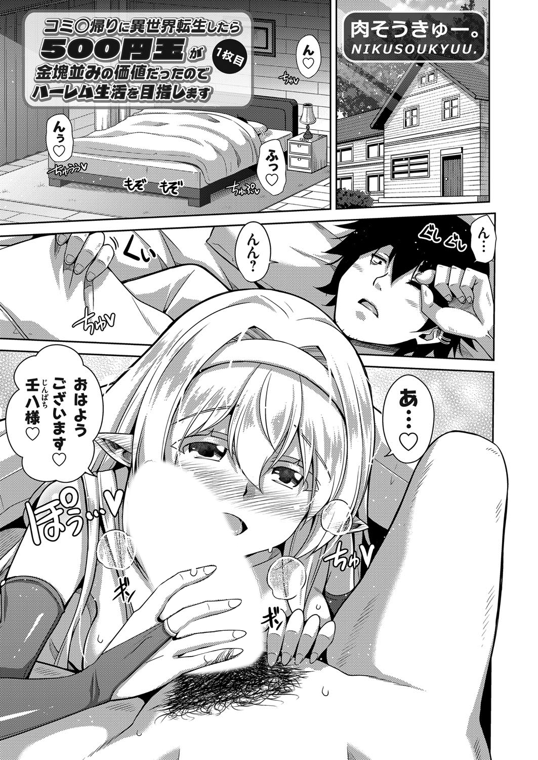 コミ○帰りに異世界転生したら５００円玉が金塊並みの価値だったのでハーレム生活を目指します １枚目