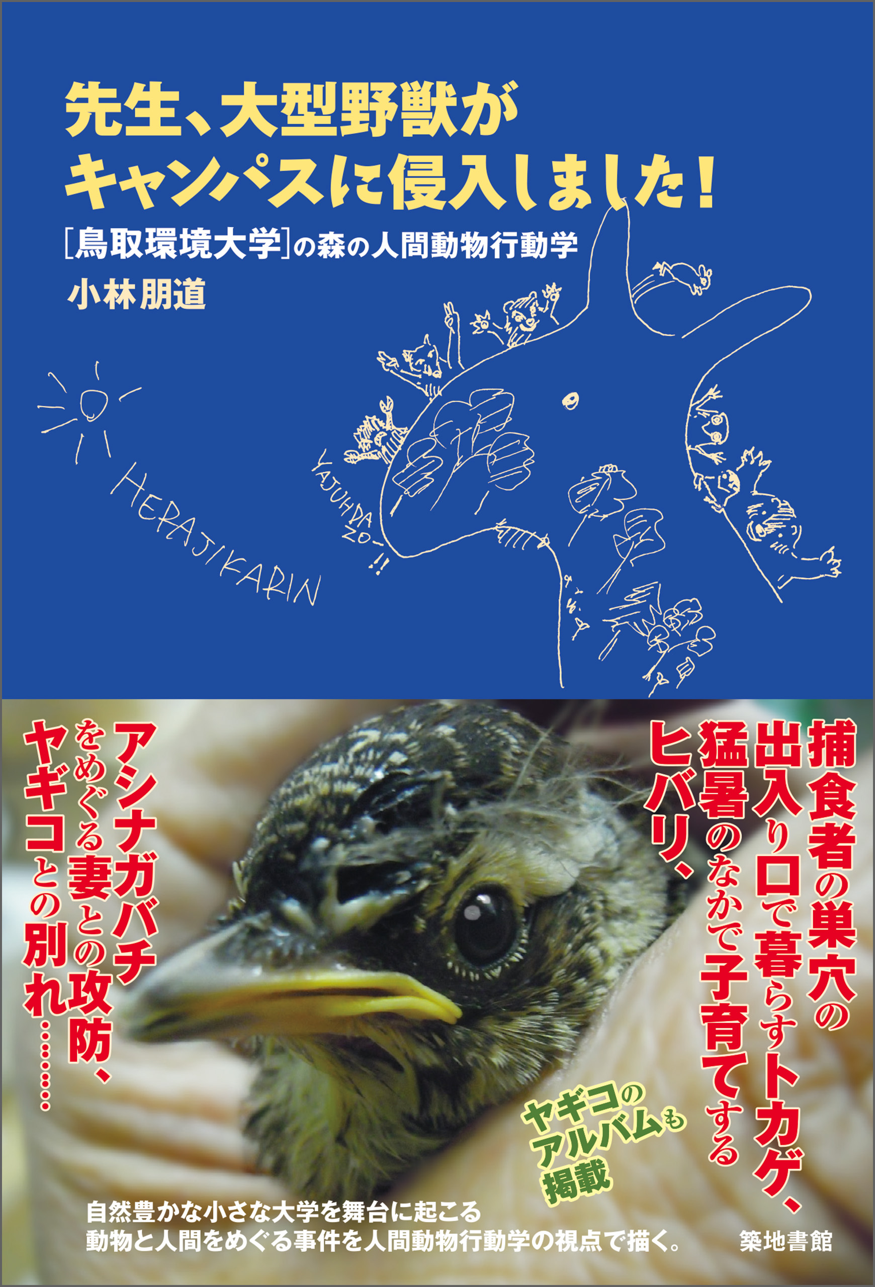 先生、大型野獣がキャンパスに侵入しました！