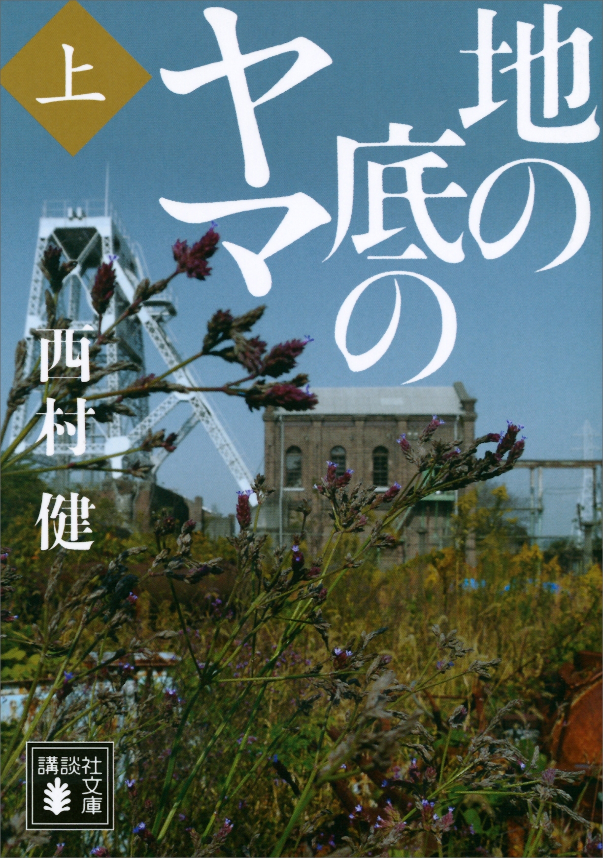 地の底のヤマ（上）