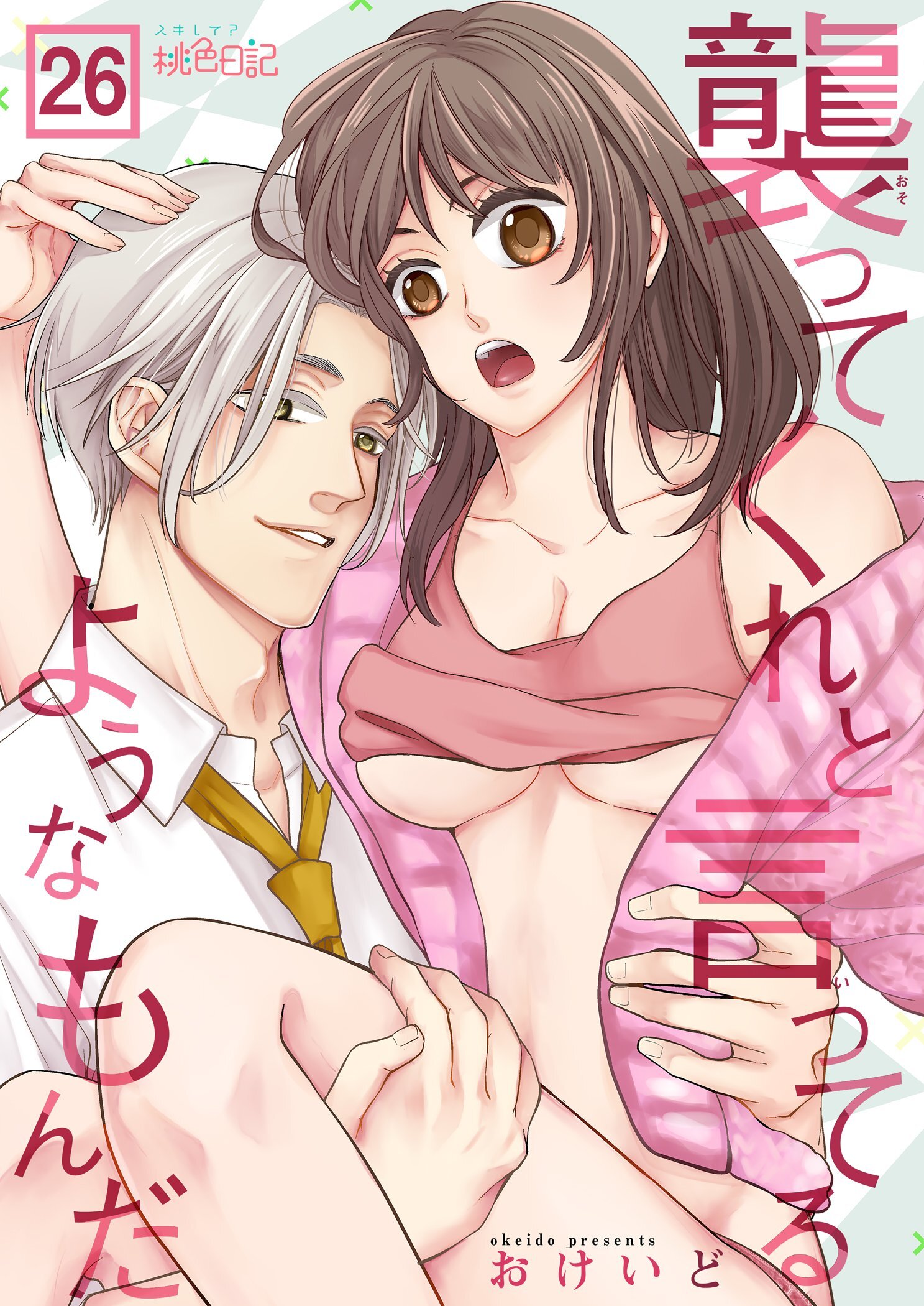 襲ってくれと言ってるようなもんだ 26