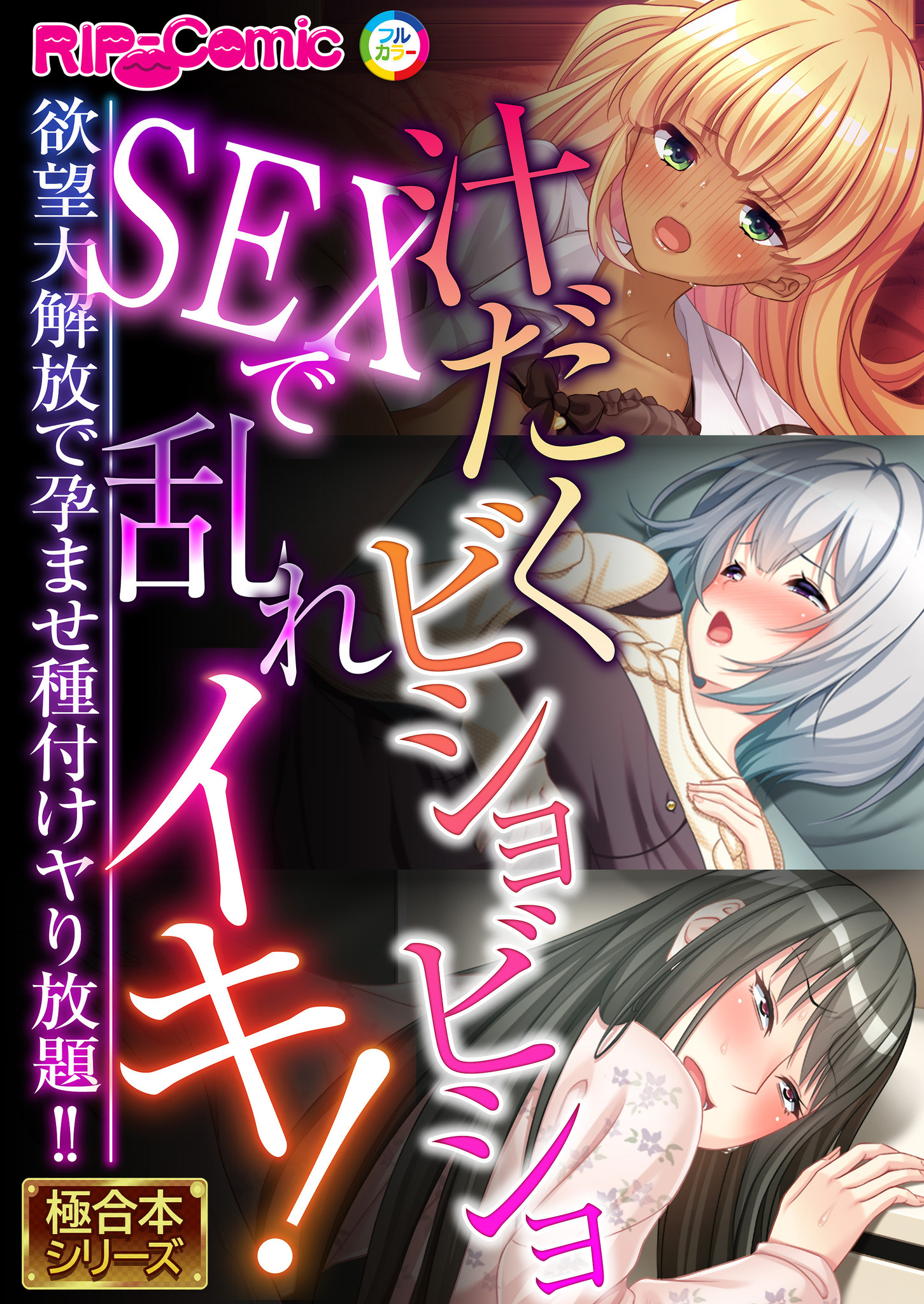 汁だくビショビショSEXで乱れイキ！ ～欲望大解放で孕ませ種付けヤり放題！！～【極合本シリーズ】