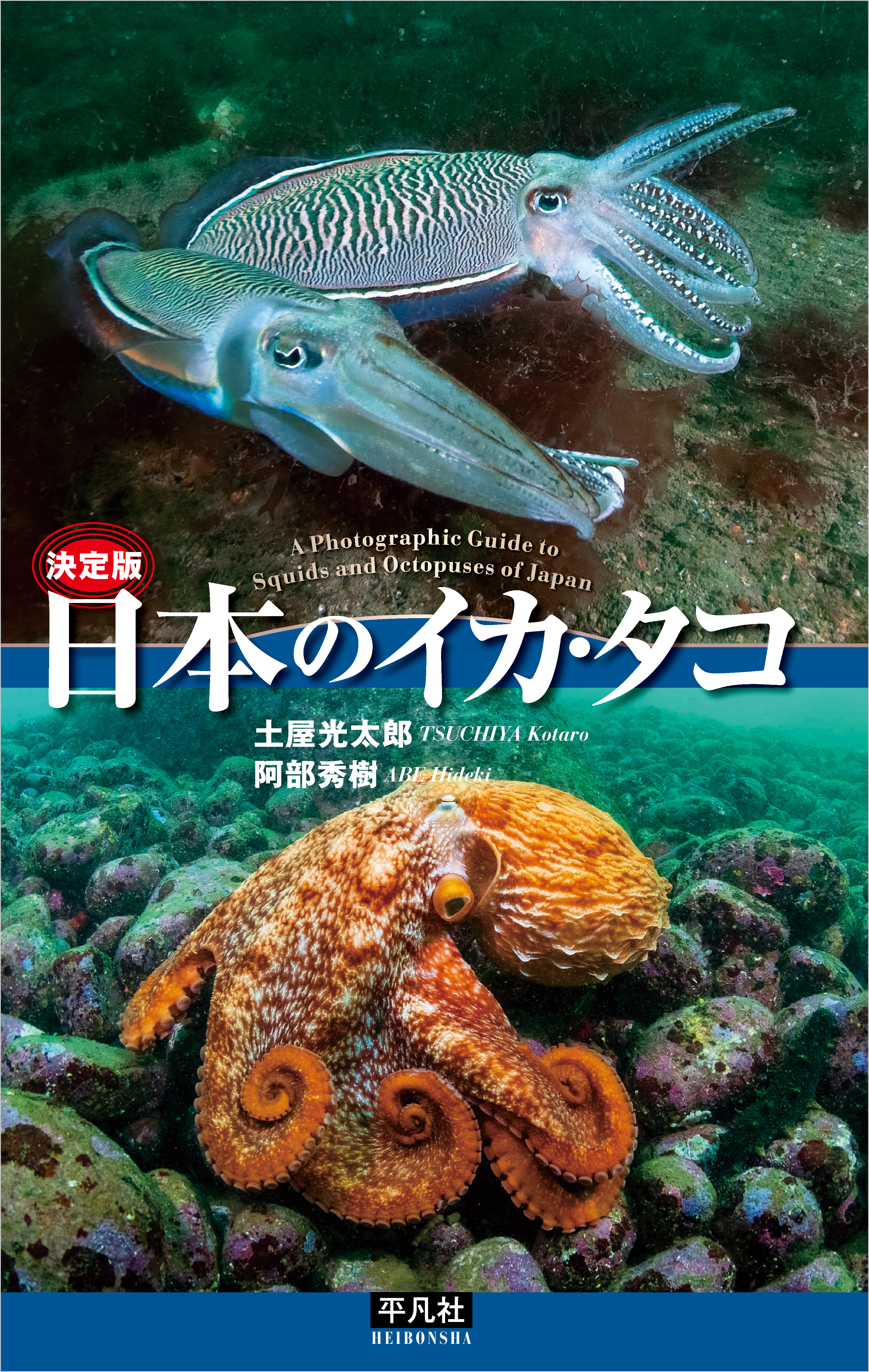 決定版 日本のイカ・タコ