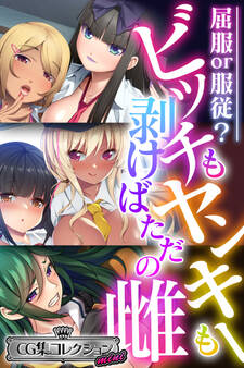 ビッチもヤンキーも剥けばただの雌 ~屈服or服従?~【CG集コレクション ミニ】