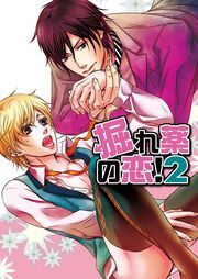 掘れ薬の恋！２