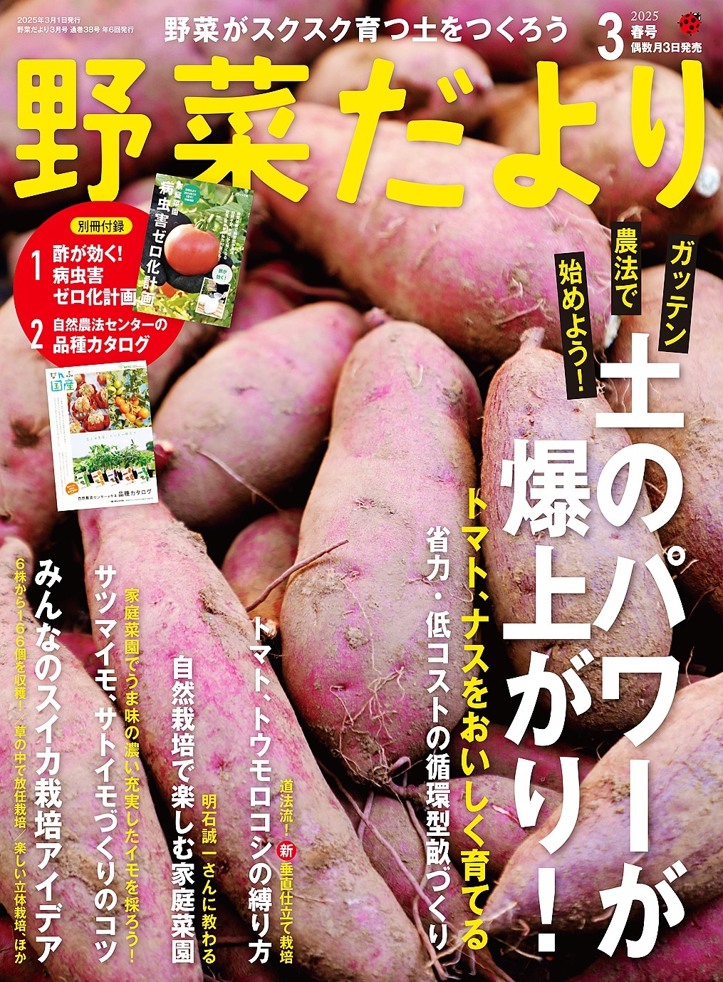 野菜だより (2025年3月号)