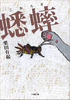 蟋蟀