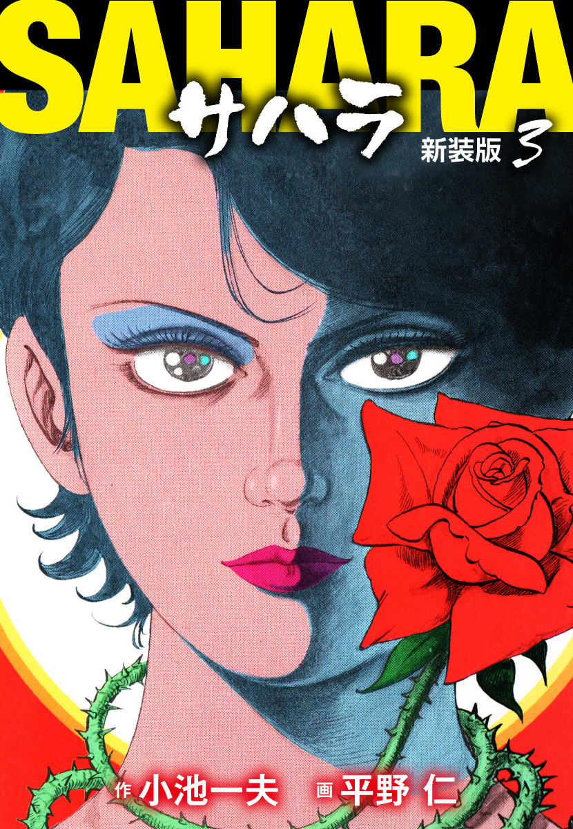 サハラ（新装版）　3