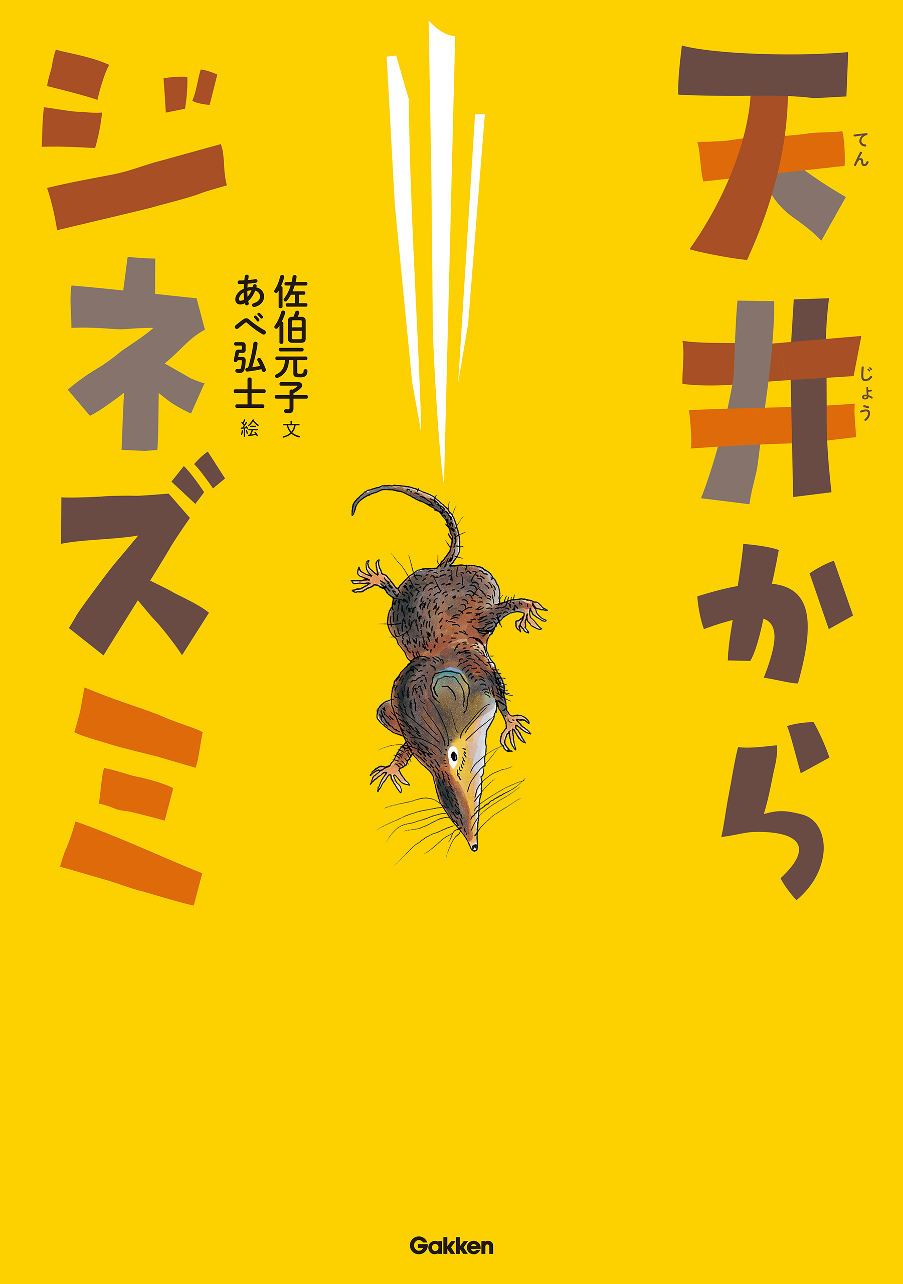 動物感動ノンフィクション 天井からジネズミ