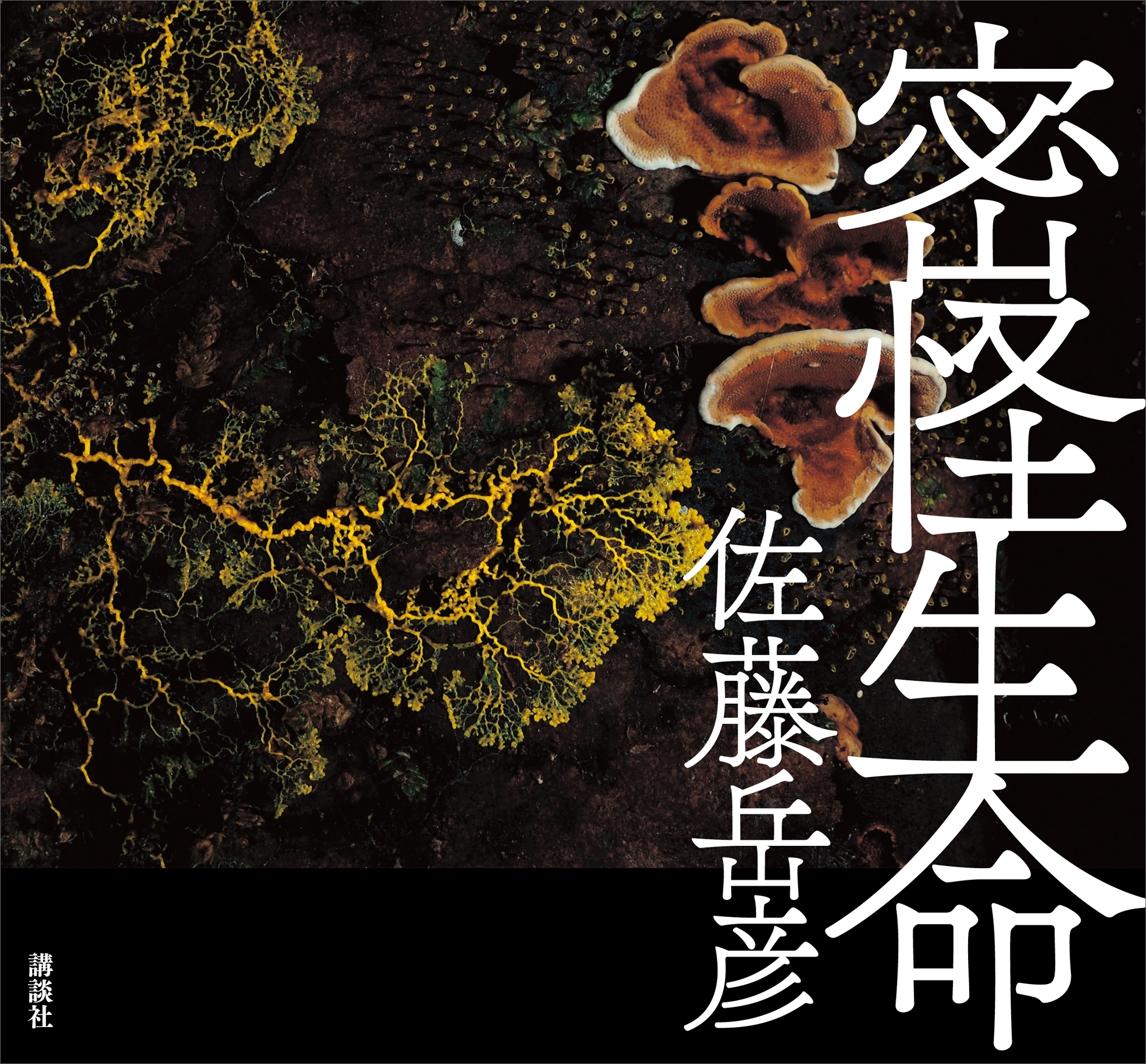 密怪生命