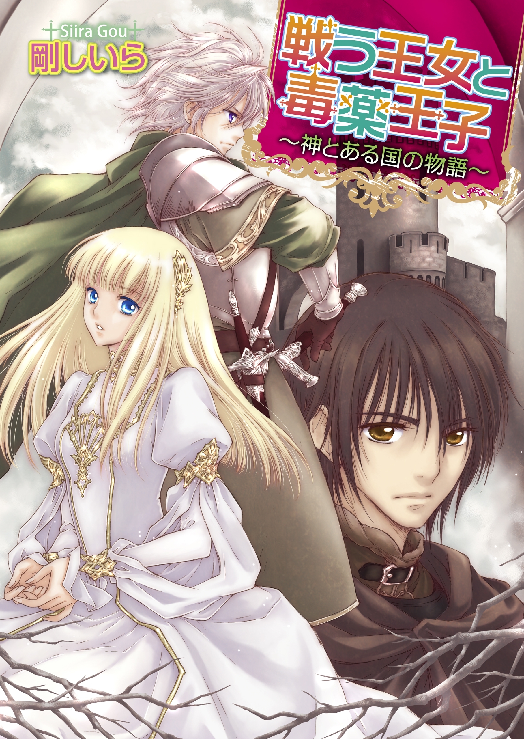 戦う王女と毒薬王子 ～神とある国の物語～2