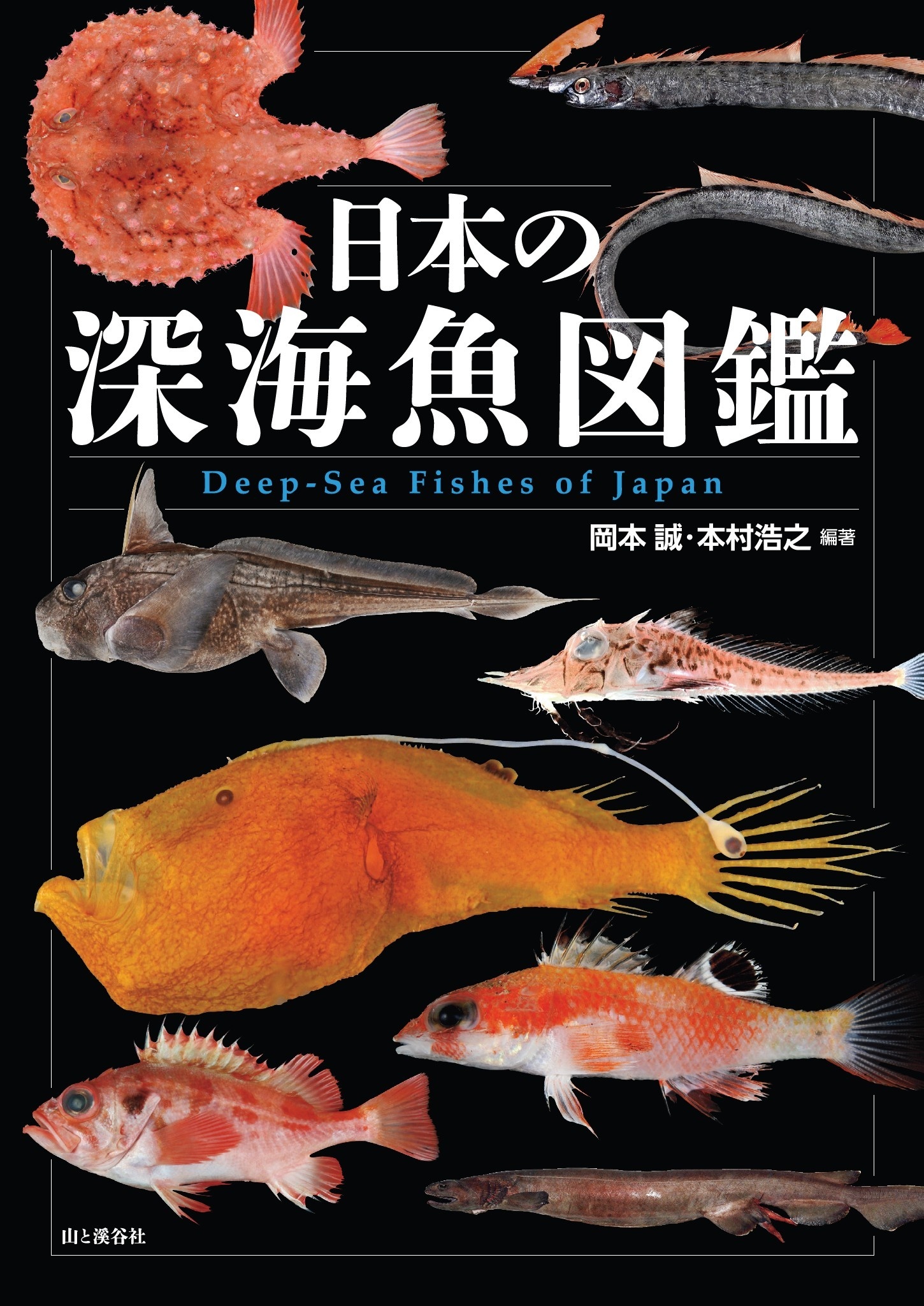 日本の深海魚図鑑