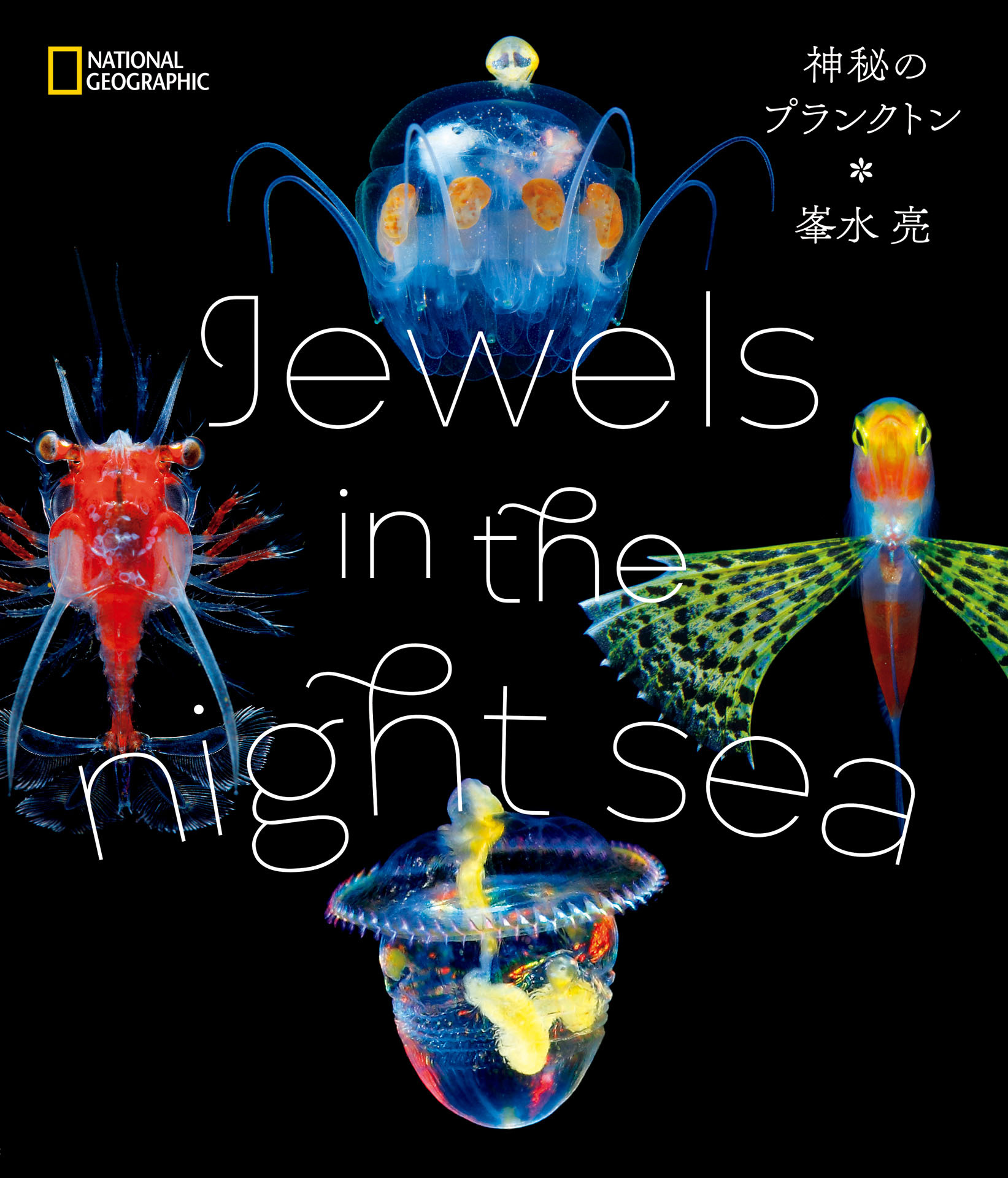Jewels in the night sea　神秘のプランクトン