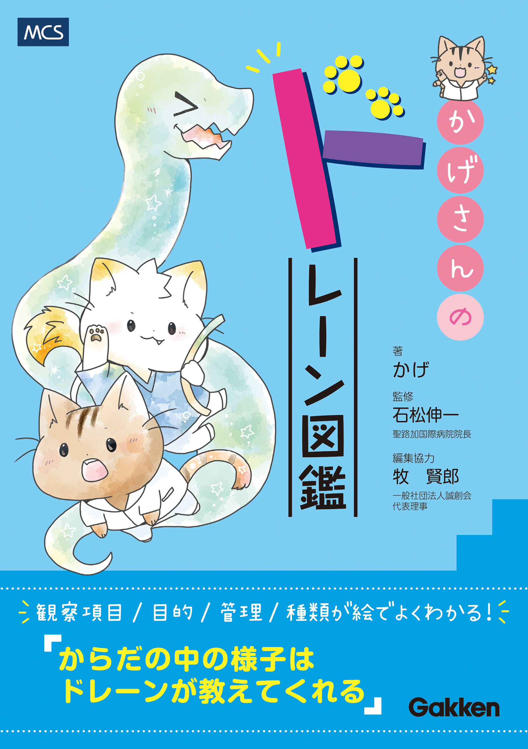 かげさんのドレーン図鑑