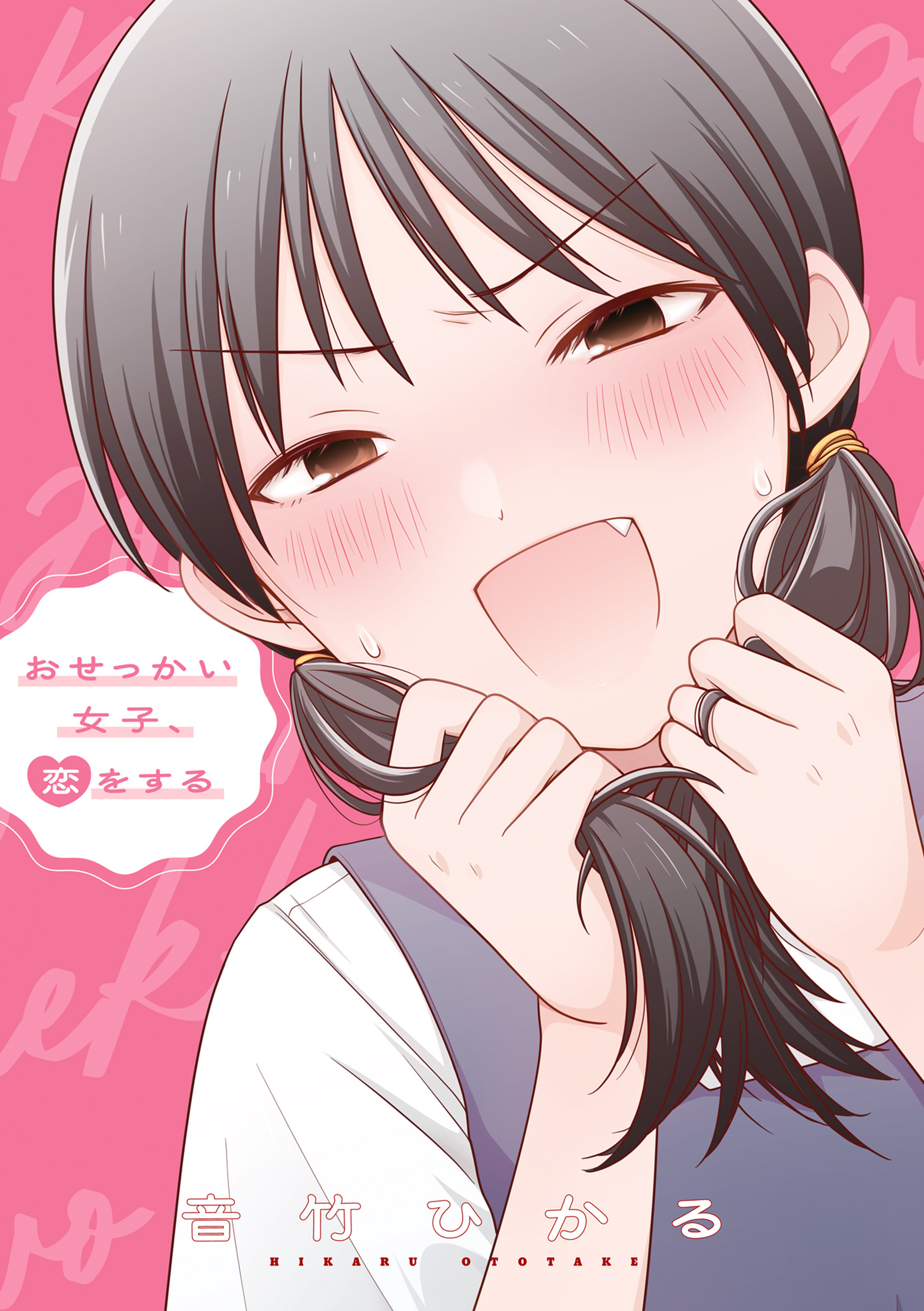おせっかい女子、恋をする【電子特典付き】