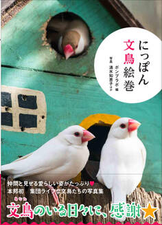 にっぽん文鳥絵巻