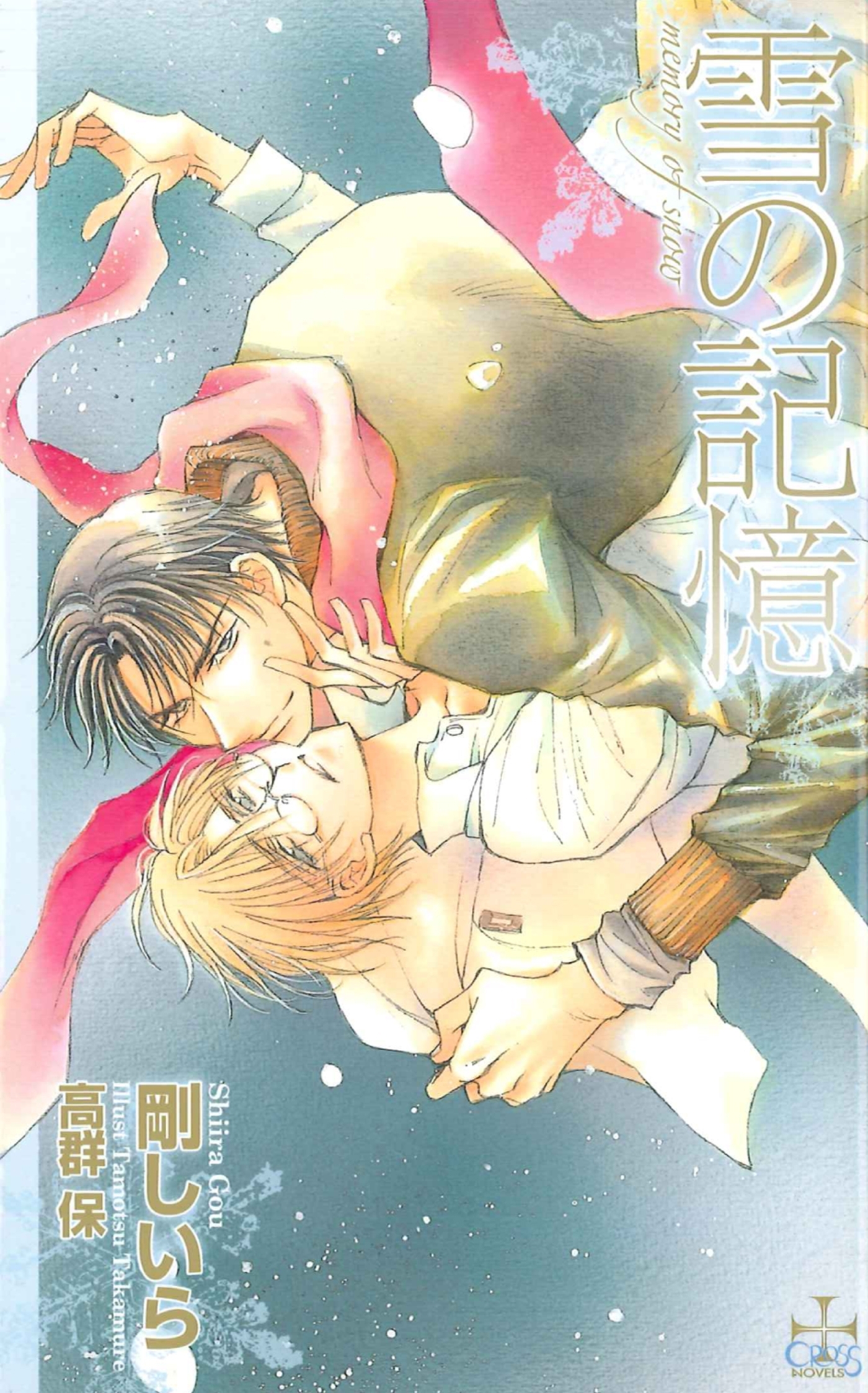 雪の記憶【特別版】